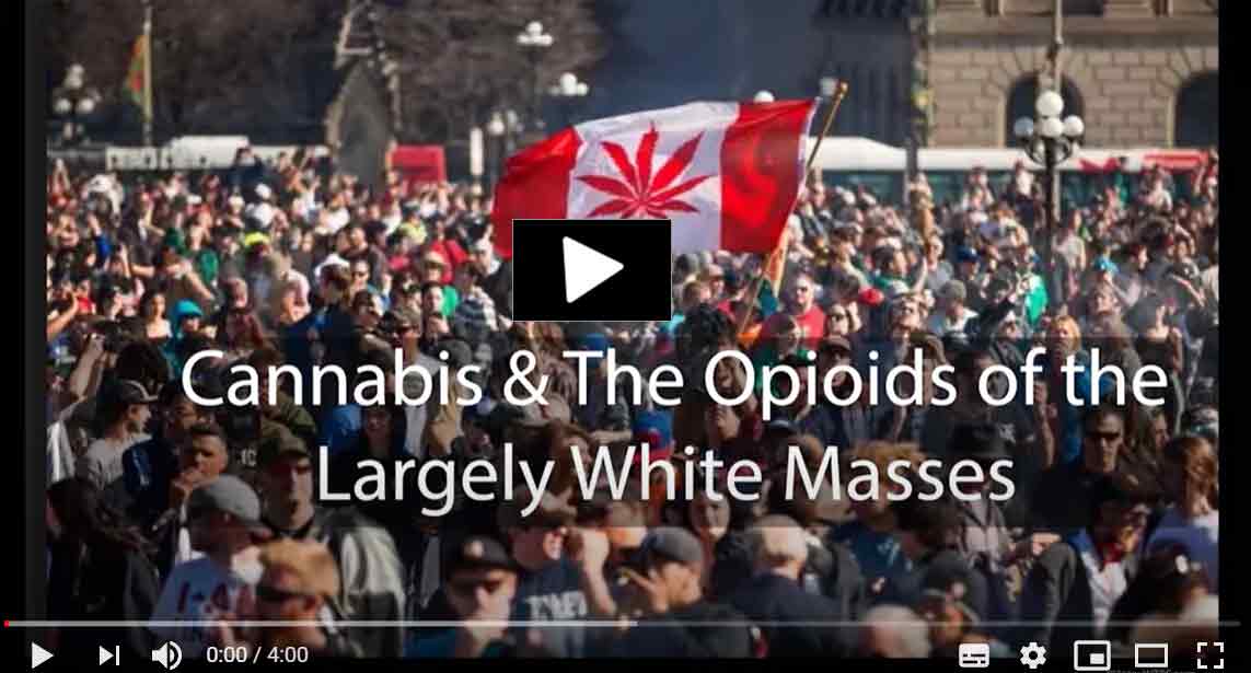 Cannabis and the Opioids of the Largely White Masses