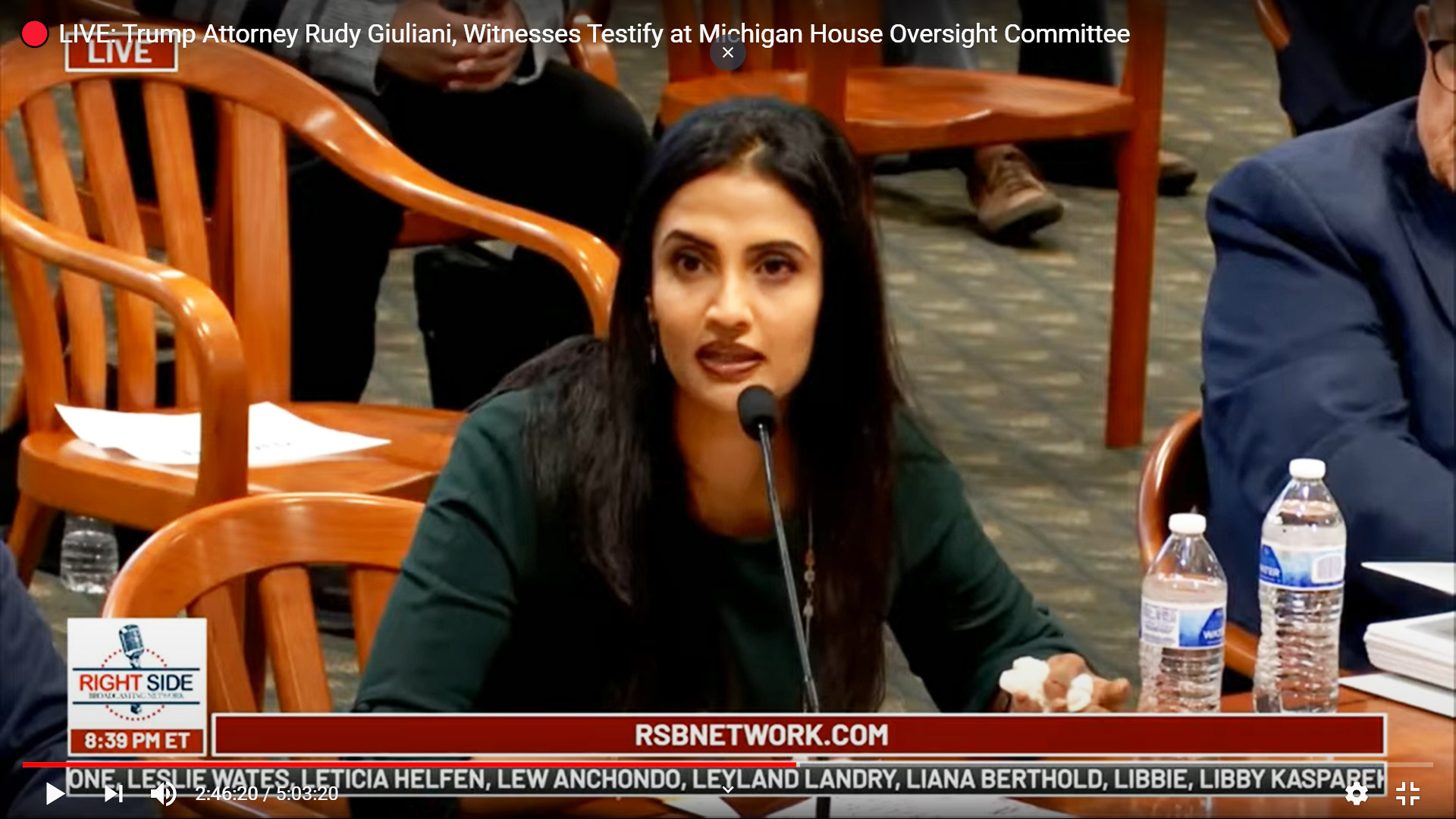 Republican Witnesses Outclassed Democrat Senators’ Thuggery at Election Fraud Hearing